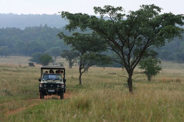 accomodation/waterberg-nylsley-1/ Lindani Game and Lodges